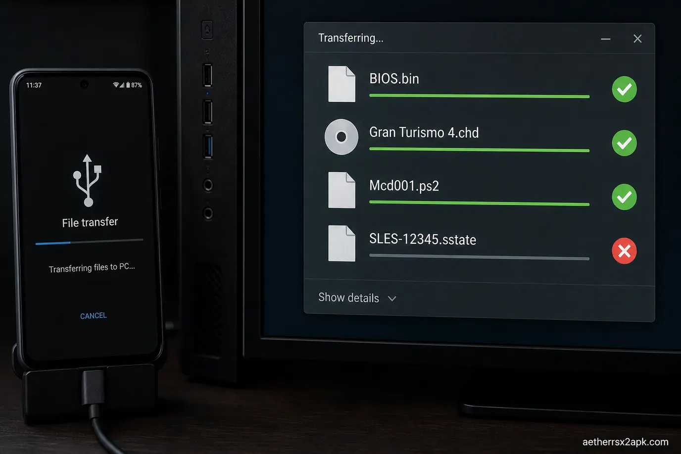 BIOS, CHD, and memory card files copy; save states do not