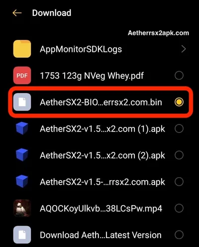 AetherSX2 confirming the imported PS2 BIOS is valid and activated